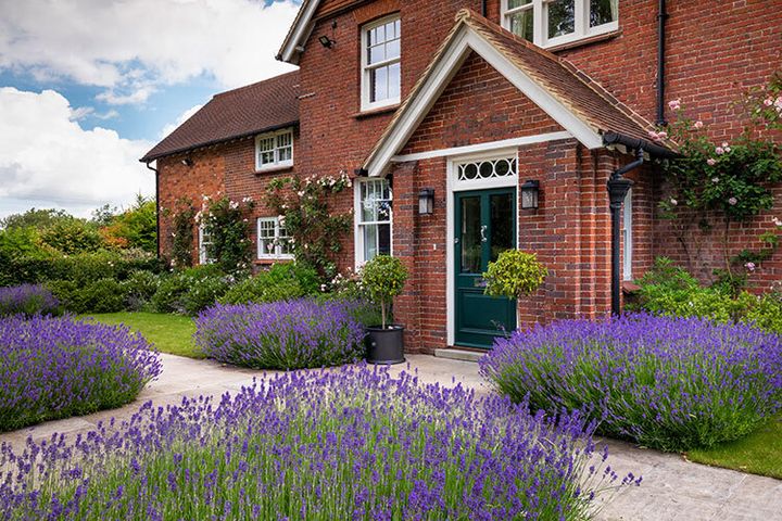 Rosemary Coldstream Garden Design