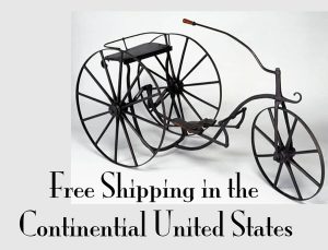 Free Shipping in the continental US